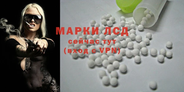 apvp Аркадак