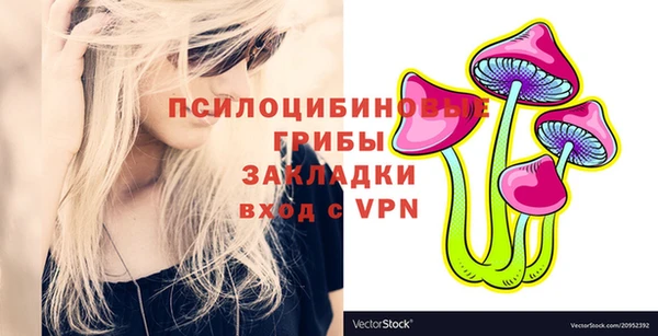 apvp Аркадак