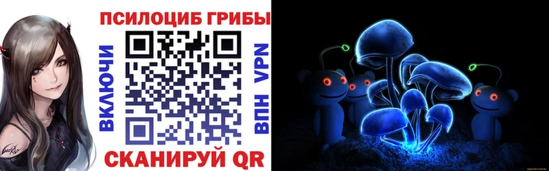Псилоцибиновые грибы GOLDEN TEACHER  кракен онион  Новоалтайск 